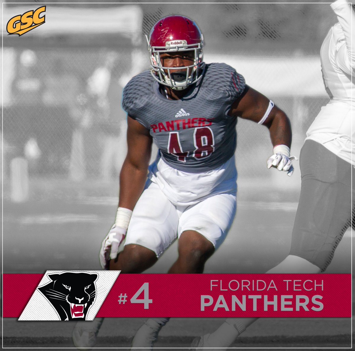 GulfSouth's tweet photo. 2017 #GSCFB Preseason Poll

#️⃣4️⃣ @GoFITPanthers https://t.co/G6jbiYqgau