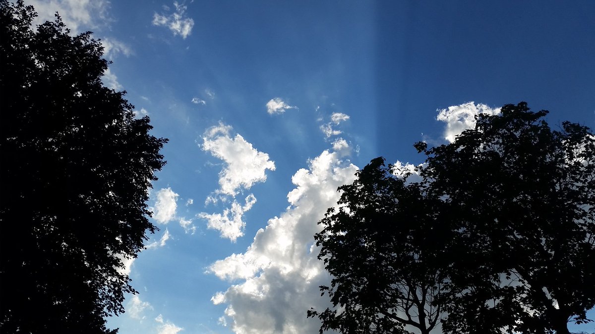 JoergMGehrke's tweet photo. Geteilter Himmel in #Berlin-#Lichterfelde heute Abend #skysplit #snapshot
https://t.co/rkoprTZr42 https://t.co/VC7asz3b01