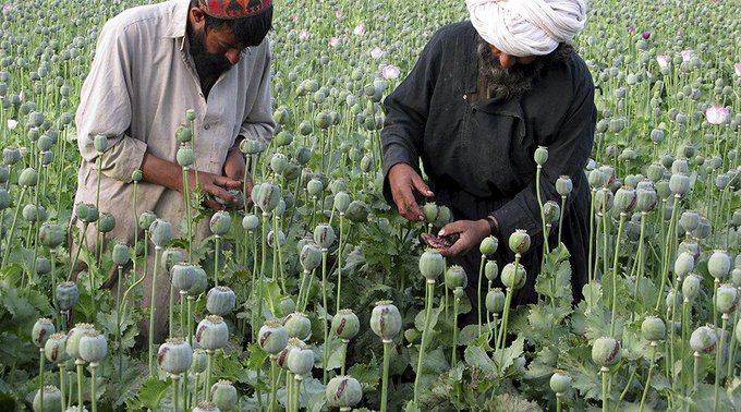 View image on Twitter View image on Twitter