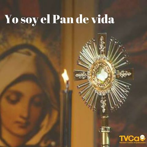 fecolectiva's tweet photo. ¡Jesús te espera!
#JuevesEucarístico
#YoVoyalSantisimo
#MiJesúsSacramentado
#PandeVida
#AlimentodelAlma
#Diosdel❤️
https://t.co/smfa1CrEv6 https://t.co/dk9yIg1W6E
