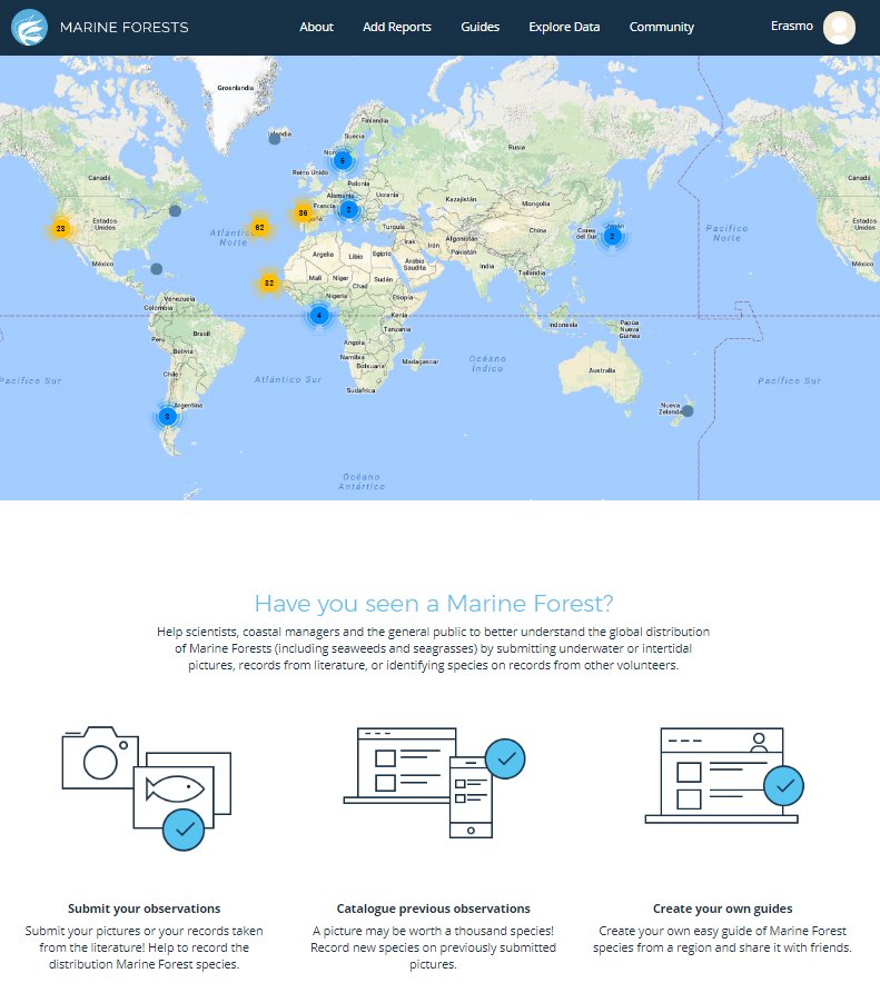Have you also seen a marine forest? Go to: marineforests.com 
#marineforests #kelp #kelpforests <a href="/marineforests/">Marine Forests</a>