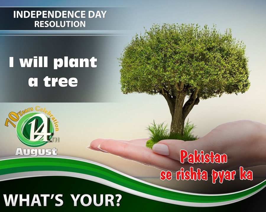 TVOnePk's tweet photo. My Independence Resolution... I will plant a tree
What's your?
#OneNationPakistan #70YearCelebration #Independence Day
#PakistanZindabad https://t.co/axLlqrdJ3V