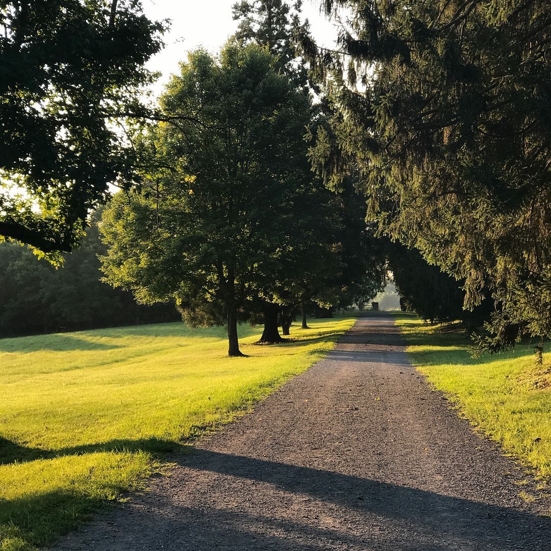Media Tweets by Loudoun Road Runners (RunLoudoun) Twitter