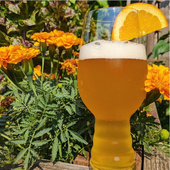 Hot summer day calls for a refreshing Wit. And yes, we're all for a fresh orange slice garnish with this one! #PDX #PDXBeer #beattheheat
