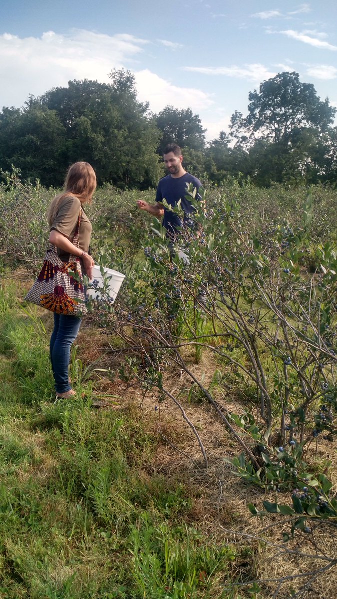BogLabCU's tweet photo. .@Hashtag_Read and @Mathilde_Hutin  out picking blueberries in the #FLX during #BogLabSummit🌾 https://t.co/iZyUI5CUFZ