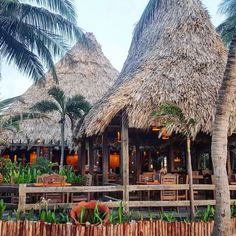 CostaMayaFest's tweet photo. Pineapples On The Beach is a proud sponsor of the Costa Maya Festival! #costamayafestival #belize https://t.co/YJeY0mEHfS