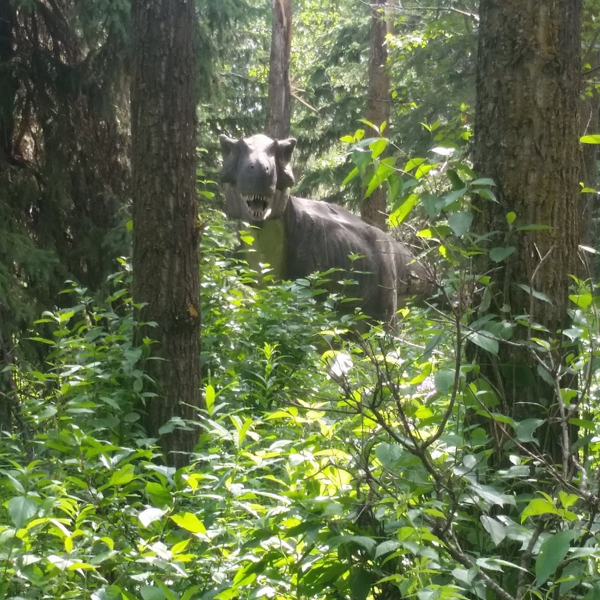 JurassicForest's tweet photo. Not sure if turning back is an option. The dino saw you already! Come on out and have your own encounter.  #yeg #yeglongweekend #yegweekend https://t.co/Cbc7ubfDQT