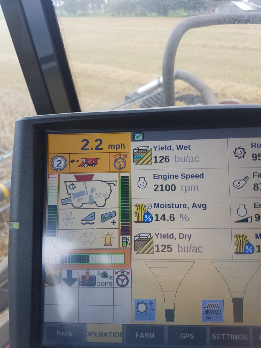 Nice field of hrw