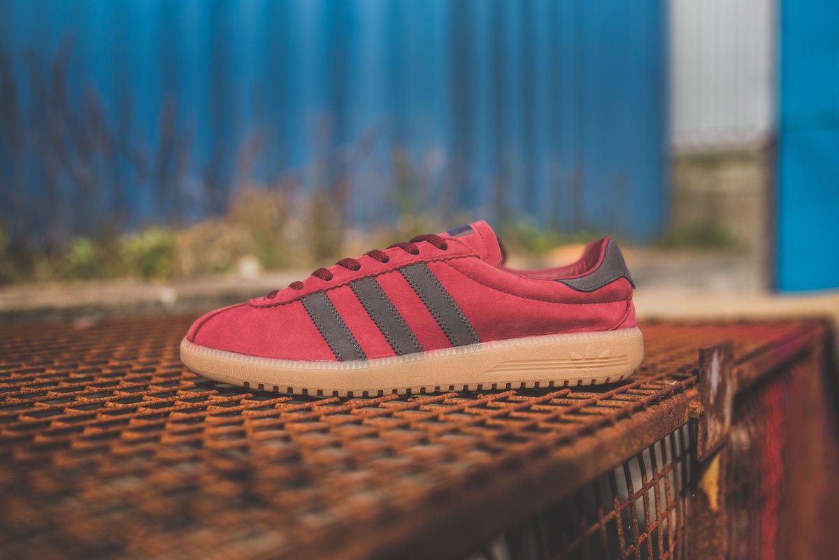 adidas bermuda burgundy