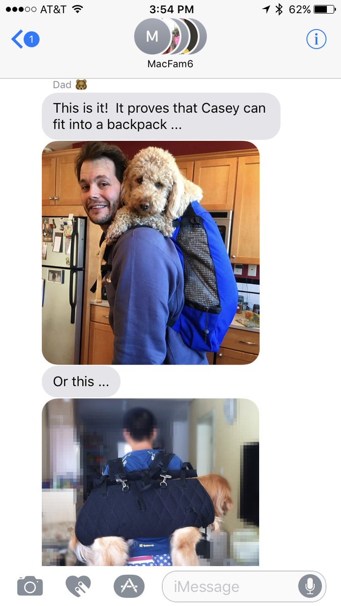jillianhoefer's tweet photo. My dad is desperate to bring our 65lb golden doodle hiking. Her legs work fine. https://t.co/7Uwo2L4uMt