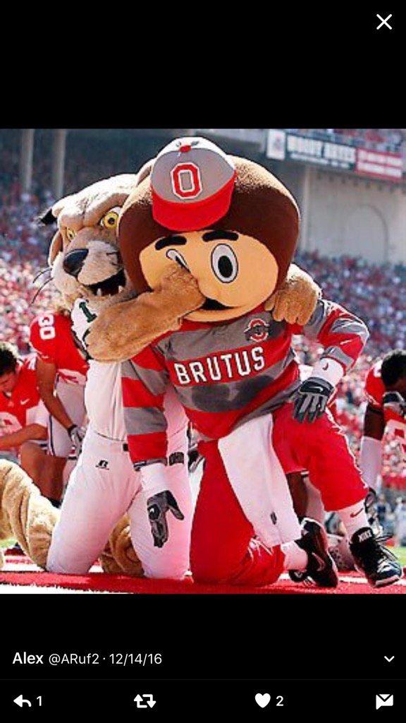 papayov's tweet photo. #tbt Still a favorite #gobobcats #Rufusrules https://t.co/JGyNnnNCLV