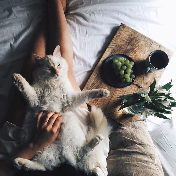 vitringez's tweet photo. Güzel bir cuma gününden herkese günaydın! 😍 #HappyFriday 🎉 https://t.co/JUH39vzvMi