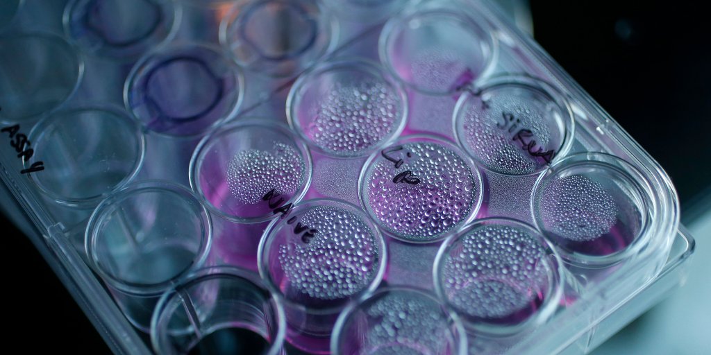 Pharma giant BristolMyers Squibb just made another big