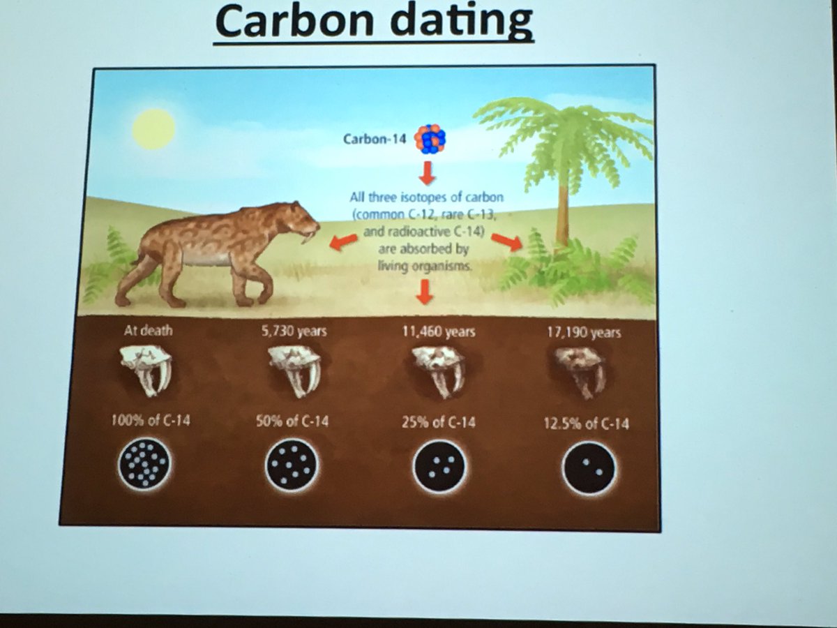Javier_Montiel1's tweet photo. Learning how age is determined using carbon 14 with the best scientists in the world @carnegiescience @SmithsonianScie #sseats17 https://t.co/wvTPj1yQc8