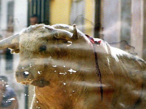 ACTYMA1's tweet image. ACTYMA DENUNCIA "BOUS AL CARRER" CELEBRADOS EN LA VALL D'UIXÓ (CASTELLÓN) lavanguardia.com/local/valencia…