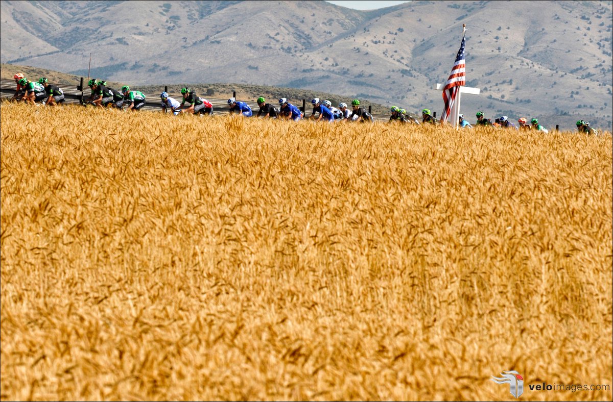 veloimages tweet media