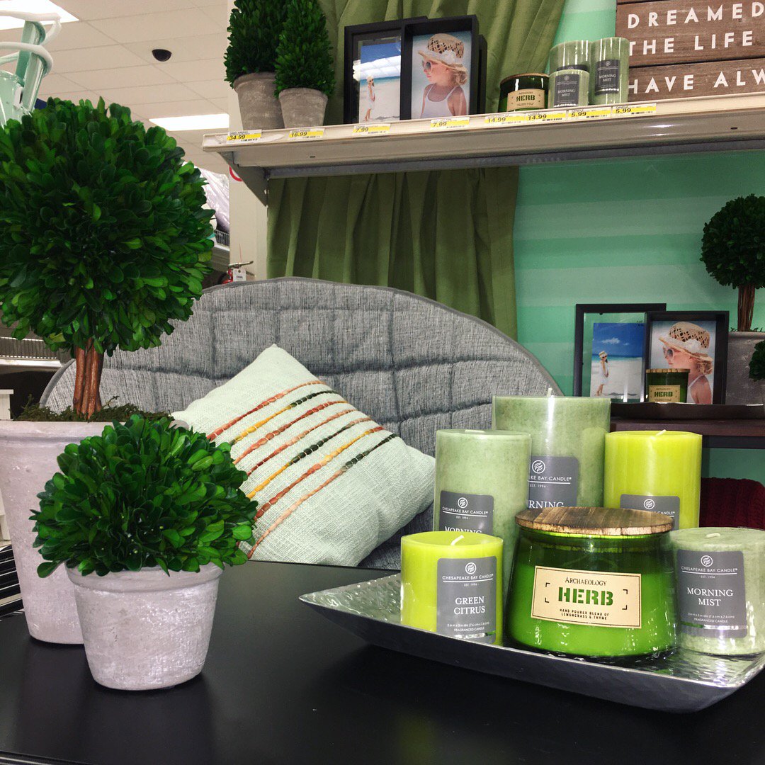 T2346vml's tweet photo. Refreshed focal🌱 @KColeman32 @OswaldDebbie @k_richadson https://t.co/y9yHIDfFxi