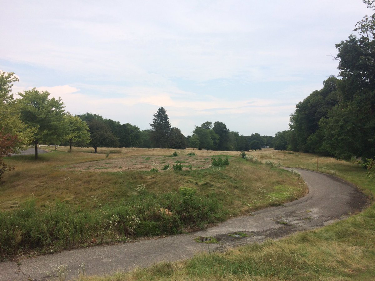 MikeLSaunders's tweet image. #PhotoMonitorLCWM