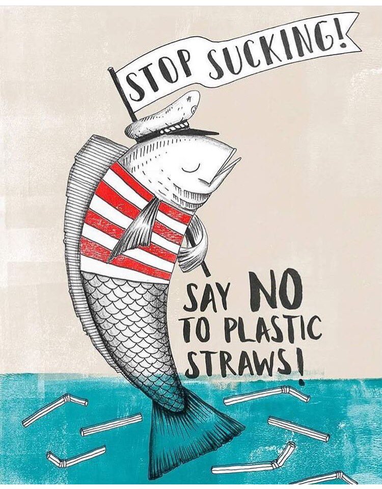 prettyingreentv's tweet photo. #recycle Small choice big Impact!Next time Say No to plastic straws #noplastic #plasticpollution #econews #eco #greenliving #straws #green https://t.co/sQtqW9BV5b