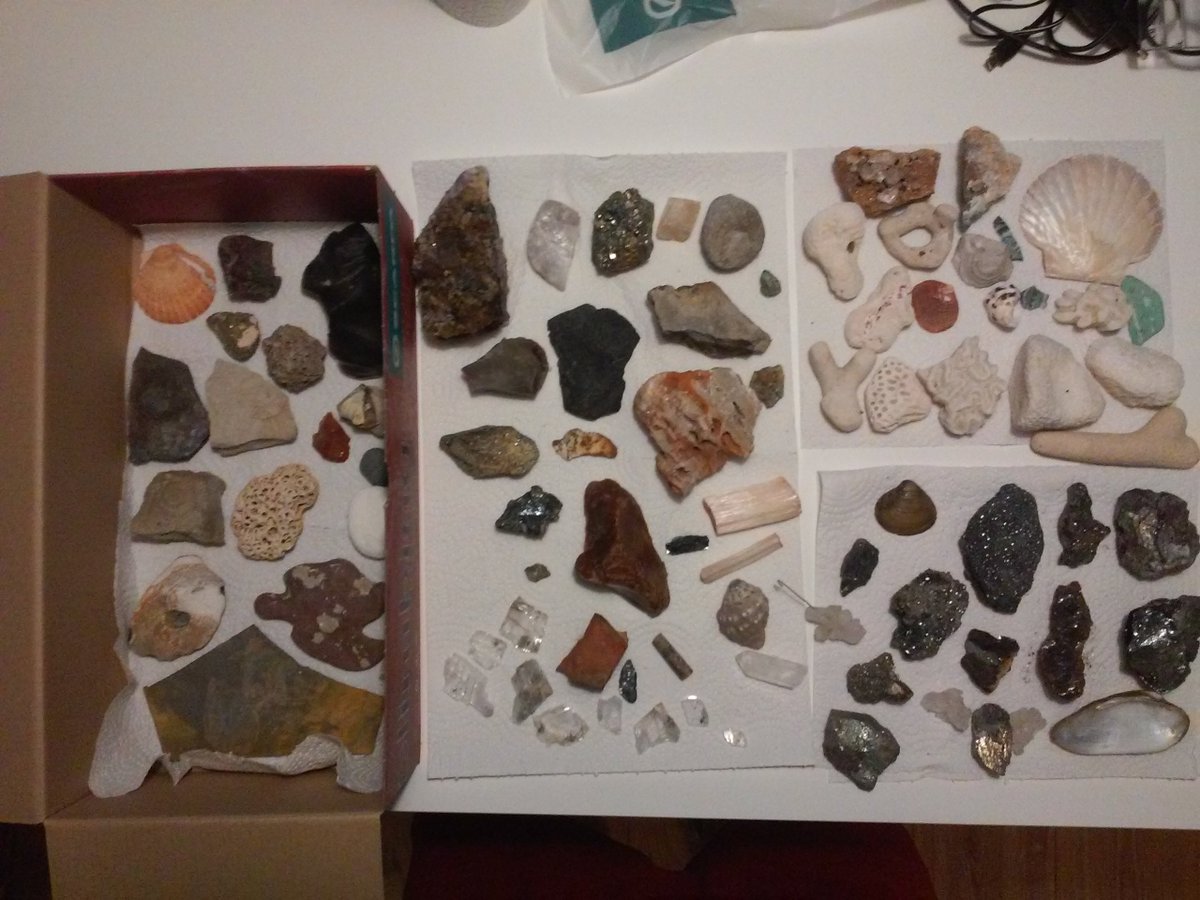 A flooded basement brings out some remains of my #hardrockgeology past