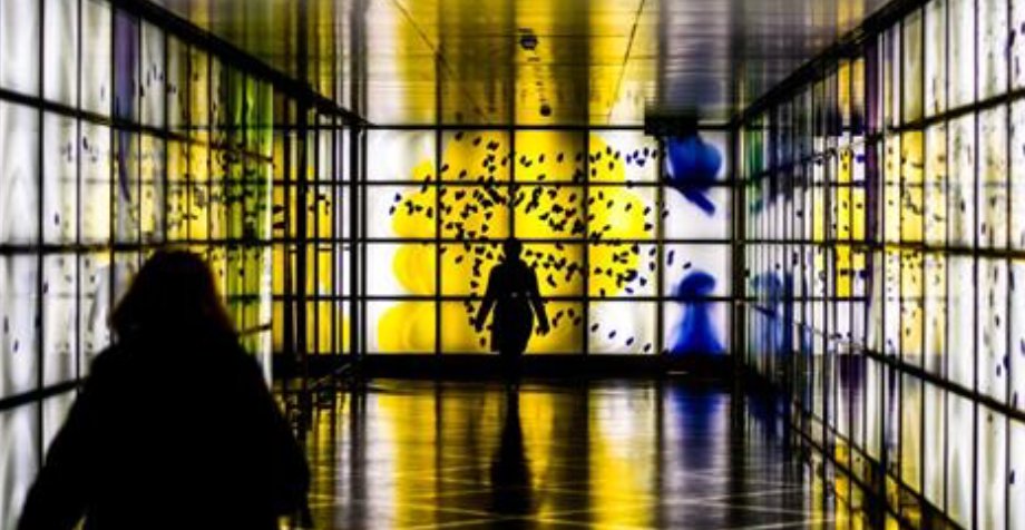 Measuring #socialImpact seems a difficult task? Join <a href="/KaporCenter/">Kapor Center</a> to learn some strategies. 
buff.ly/2wm4Yvu #data