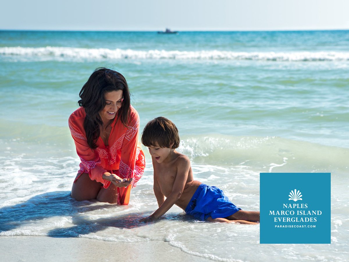 ParadiseCoast's tweet photo. Some of the best souvenirs are free. Find yours on a shelling trip in Naples or Marco Island with our tips: https://t.co/BJf0pQl8vX #LoveFL https://t.co/zjDT6A9QmS