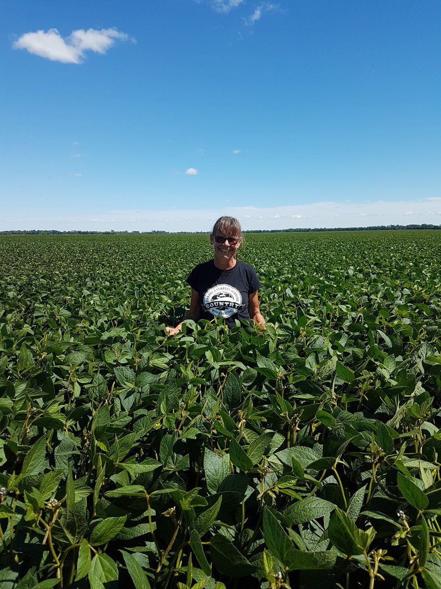 Gotta like these 24-12s <a href="/DEKALB_Canada/">DEKALB Canada</a>