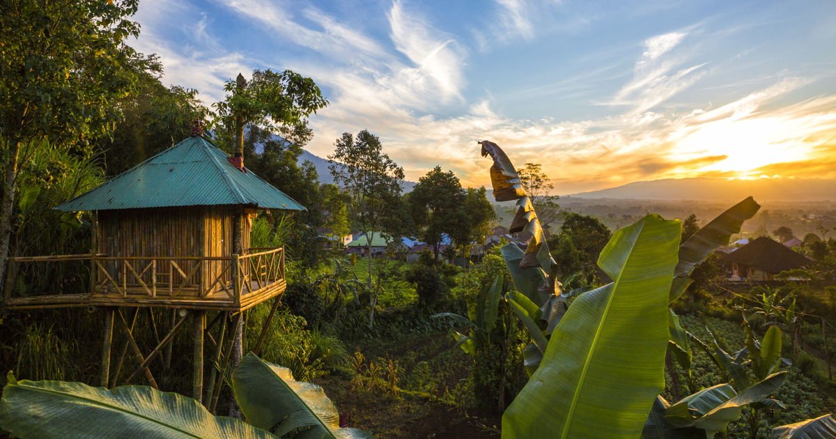 A Plus on Twitter: "These dreamy tree houses are what our childhood