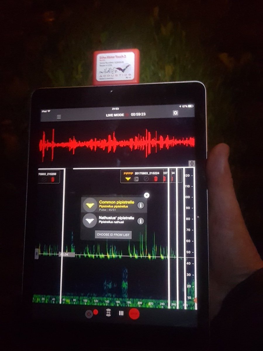 Happy with these 👌