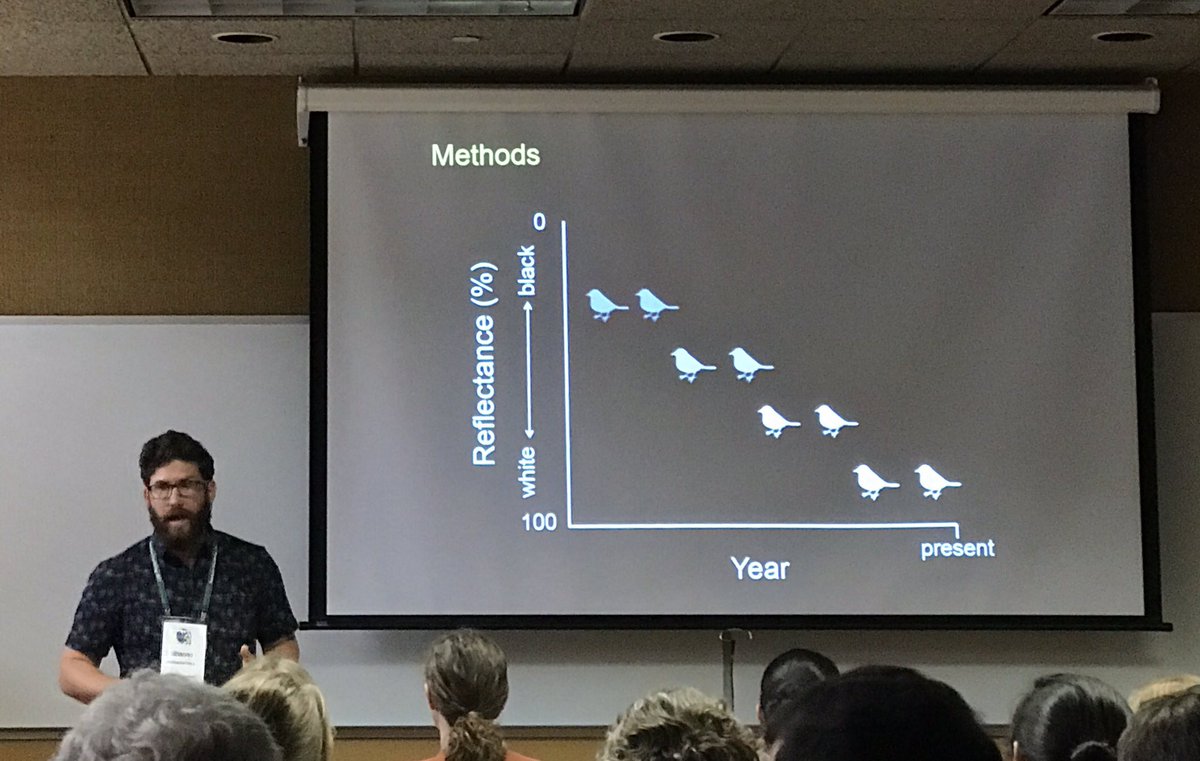 phylodiversity's tweet photo. Shane Dubay uses bird specimens and photography to study industrial spot in midwest US #fmnh #fmnhscience #AOSCOS17 https://t.co/fBDPiFMN0k