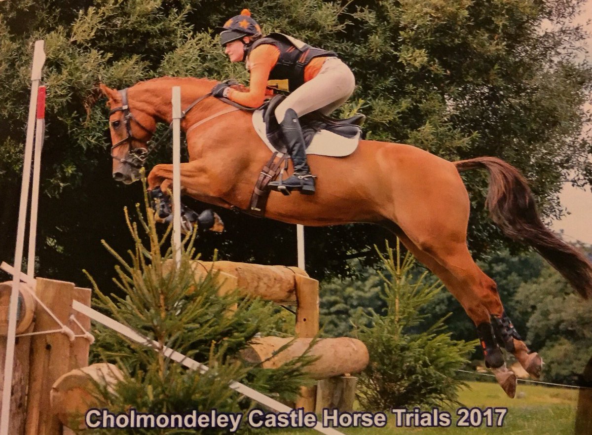 ArdernEventing's tweet photo. Double clear &amp; 8th in BE100Open @CholmondeleyHT , next stop Novice😬 https://t.co/kAJpb5io8V