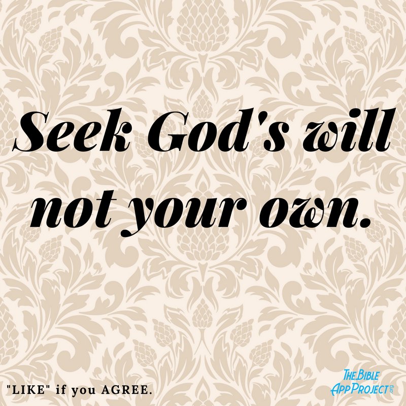BibleAppProject's tweet image. Seek God's will. 😊💝

Please say Amen and Pass On 🙏❤

Follow: instagram.com/the.bible.app.…

#BibleQuotes #BibleVerses #Inspiration #Prayers #Jesus