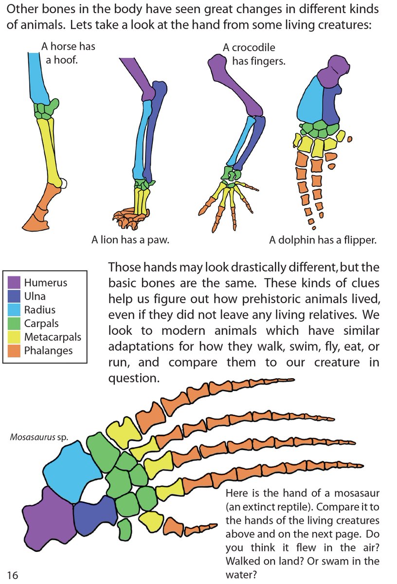 download the ecology of aquatic