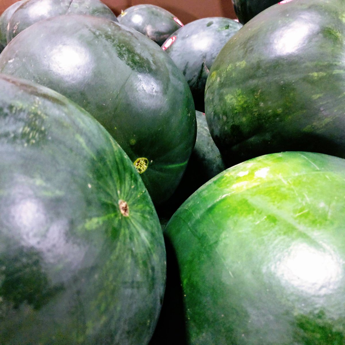 organicgarage's tweet photo. Summer Tip #87: Stay hydrated by eating watermelon for #NationalWatermelonDay. #HealthierForLess #WeCutPrices #NotCorners https://t.co/9fsTeIztOI