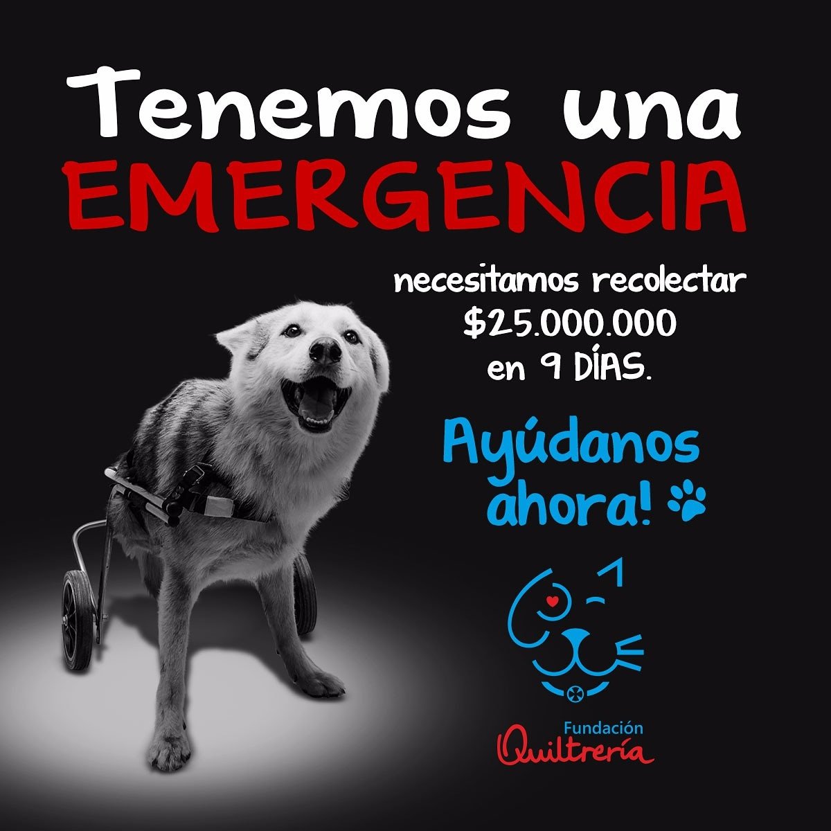 Quiltreria's tweet photo. Familia #Quiltrera, debemos cambiar URGENTE de hogar y necesitamos recolectar $25 millones antes del 11 de Agosto.
#AperremosJuntos! https://t.co/bRfxeO0Lke