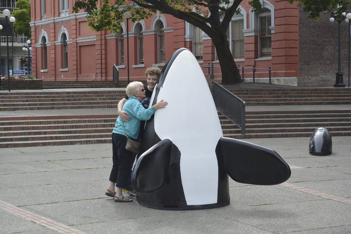 envisioninc3d's tweet image. This #BCLongWeekend head down to #CentennialSquare and meet the orcas of @FollowThePod ~ #BeOrcaSafe #SaveTheSRKW #EnvisionInc #WildVision