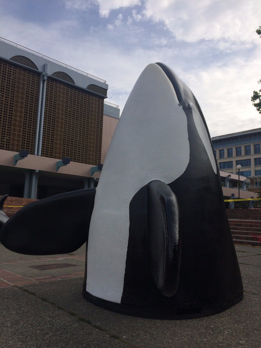 envisioninc3d's tweet image. This #BCLongWeekend head down to #CentennialSquare and meet the orcas of @FollowThePod ~ #BeOrcaSafe #SaveTheSRKW #EnvisionInc #WildVision