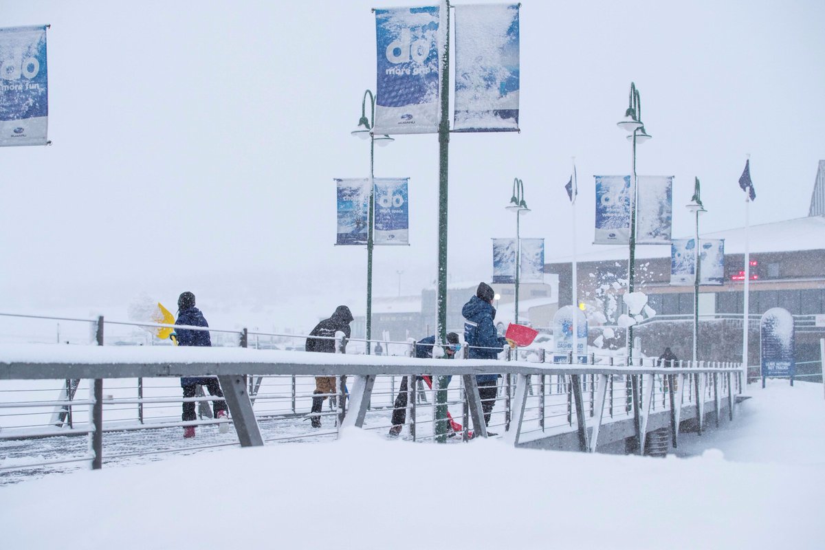 Perisher tweet media