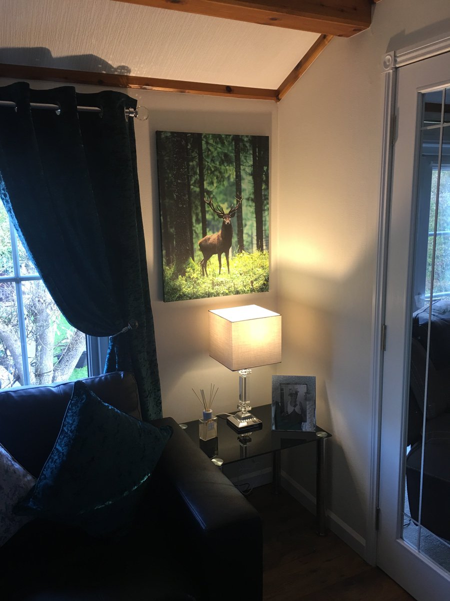 Vipiduk's tweet photo. Cosy interiors ❤️ https://t.co/VW8C9BY3cF
