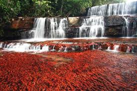 elpollonestor's tweet photo. 2 #paisajes de mi #Venezuela hermosa #guatire #guarenas #caracas #nuevacasarapa #menca #araira #petare #miranda #naturaleza @AguilaRey1 https://t.co/sljRrPj2ce
