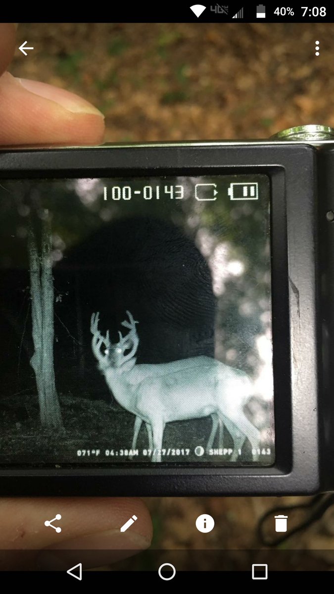 kentuckyHunter1's tweet photo. Thought this was a cool pic. #bachelorgroups https://t.co/Zj0XseP7Cj