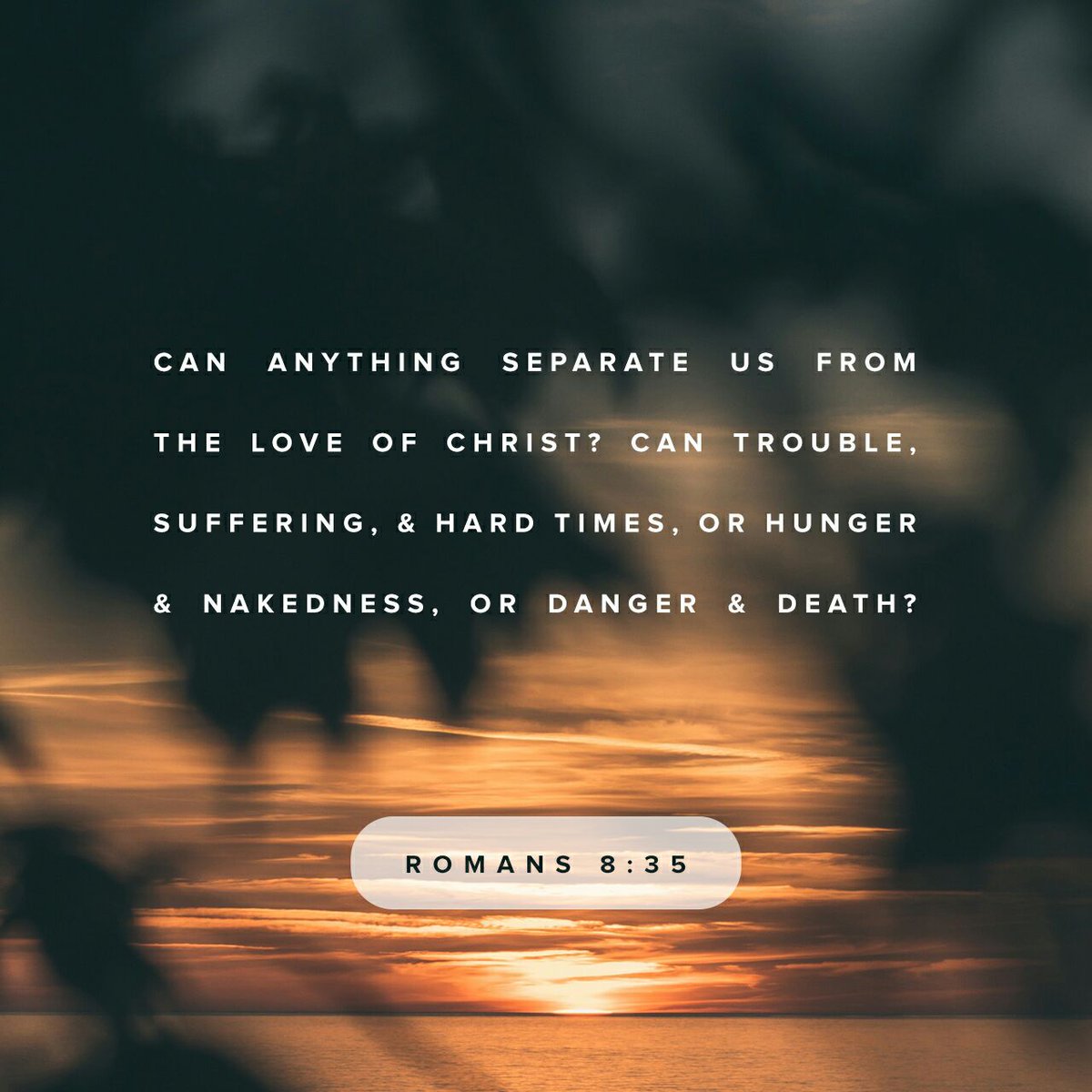 mypurposmarriag's tweet photo. https://t.co/iOYlHpqqWl
Pray This #RightNow Word Helps You On Your Journey From #TragedyToTriumph
#ExecutionCoach
#PerformanceSpeaker https://t.co/iNPTuRo4F1