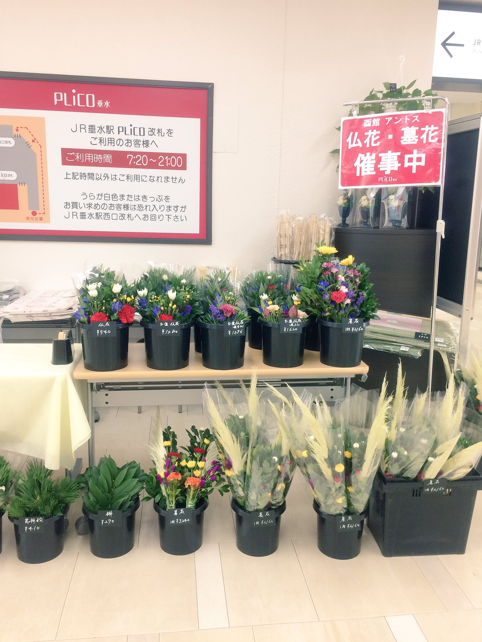 Anthesプリコ垂水店 花屋 Anthestarumi Twitter