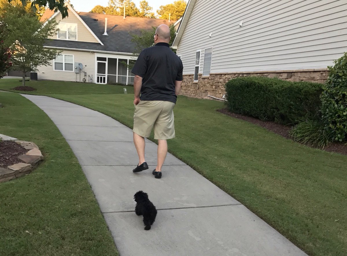 Aneil Mishra tweet media