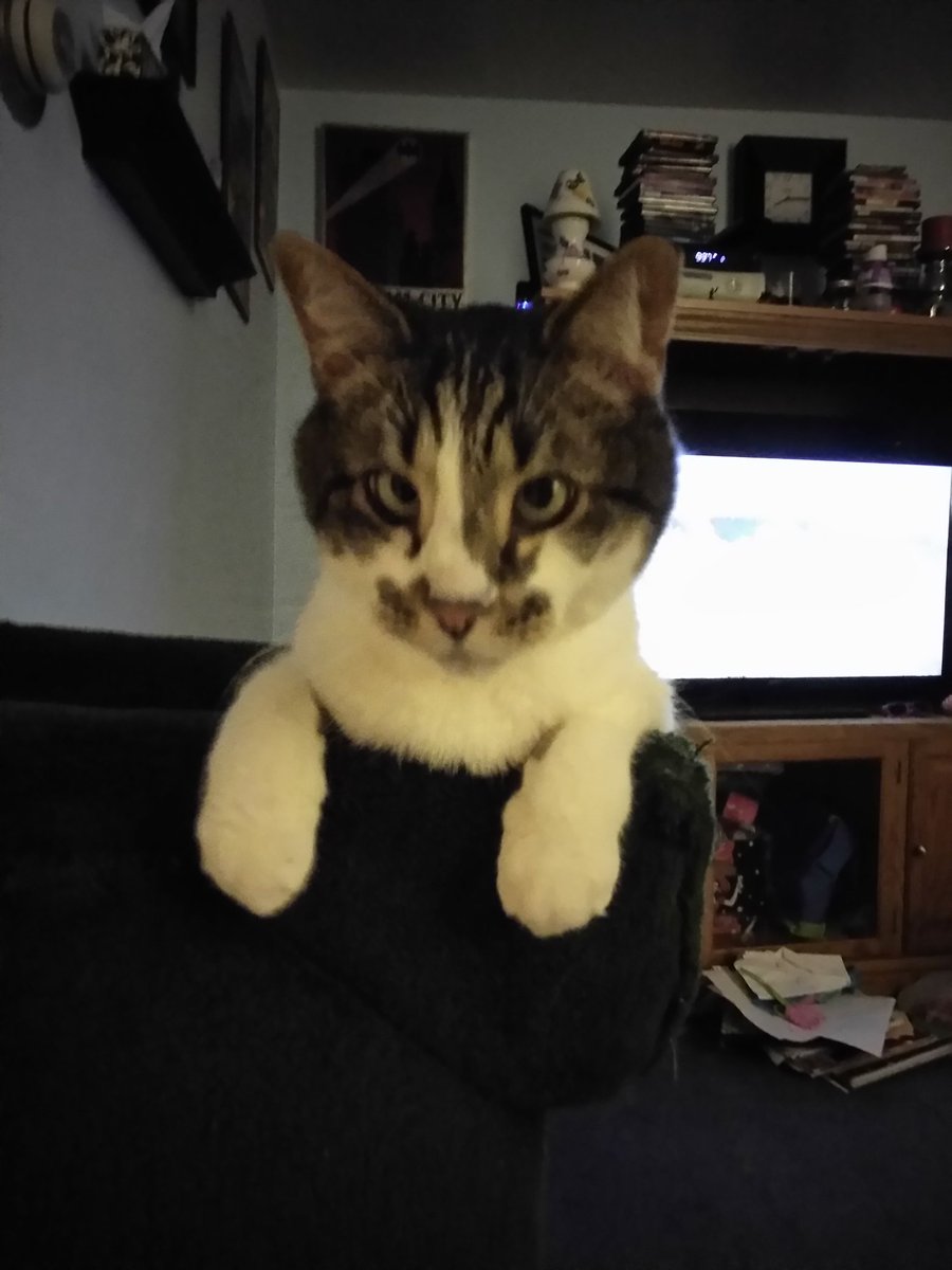 Crauldad's tweet image. 