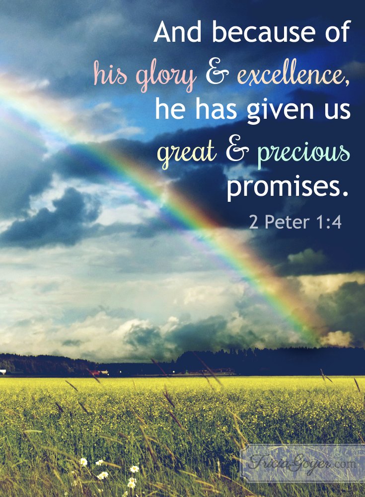trinitysfaith's tweet photo. 💙Jesus is Alive and He is Forever💙 https://t.co/R6nEqe7gQd