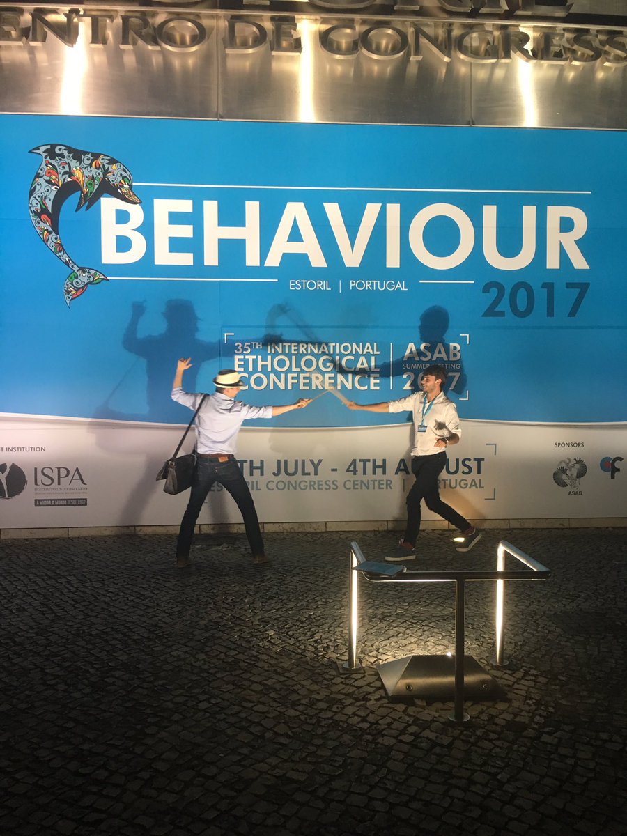 Male-male competition playing out before ASAB2017 #Behaviour2017