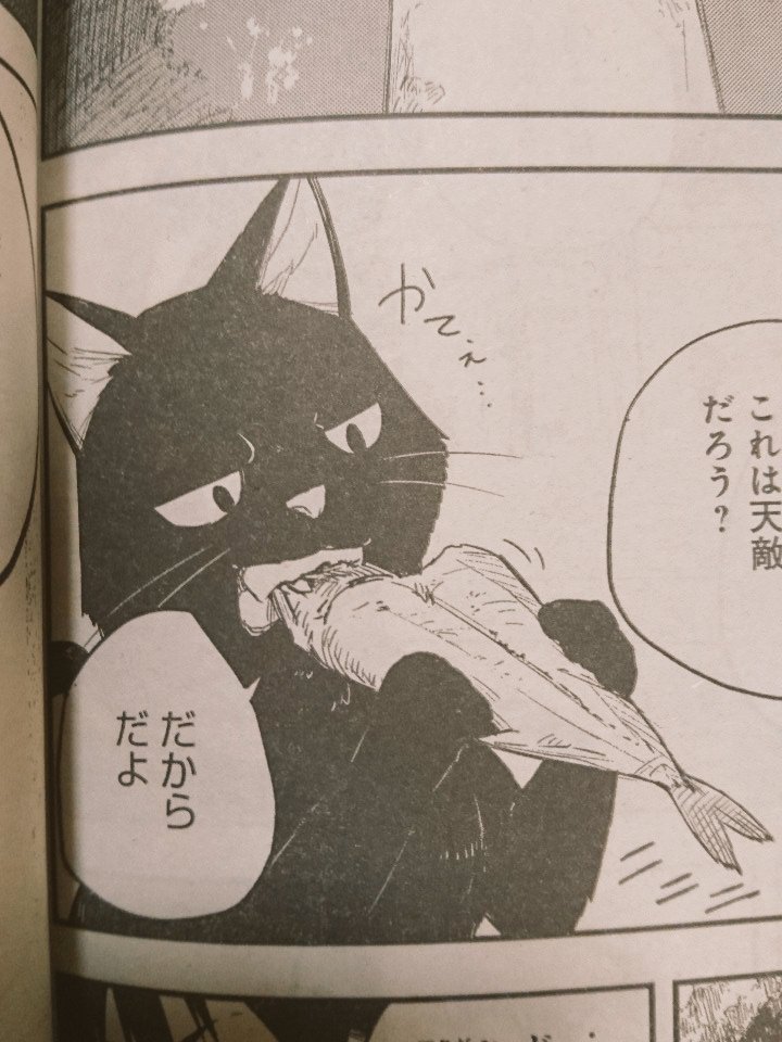 今月は忘れなかったぜ！「新テニスの王子様」が表紙のジャンプSQ.9月号発売中！ブラックトーチ第8話はセンターカラーで載ってます！久々に猫猫しい(？)ラゴウも出るよ！ 