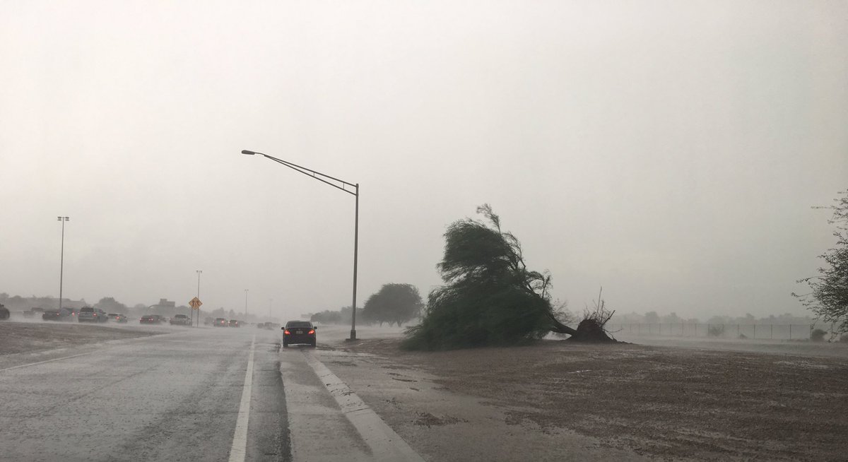 ChandlerBlvd tweet media