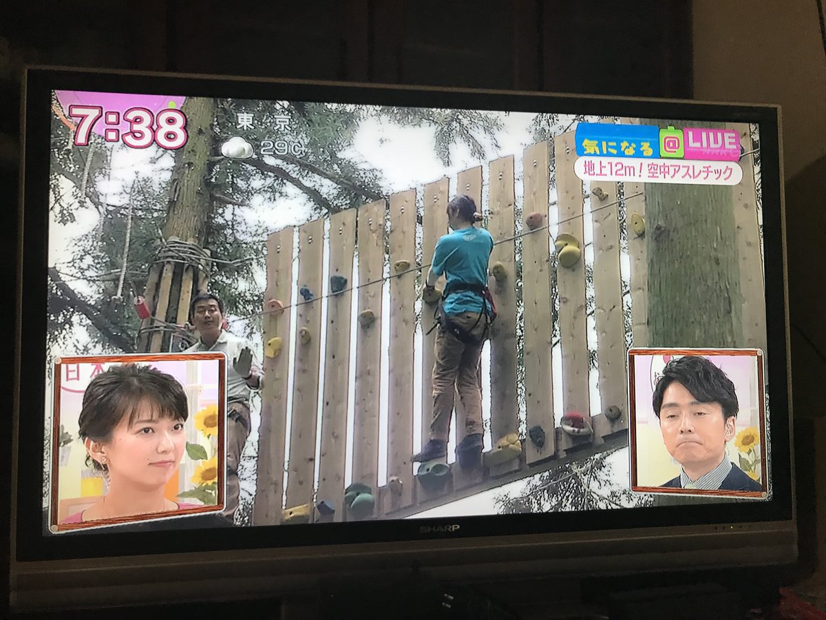 七沢温泉 七沢ちゃん On Twitter 気になる ｌｉｖｅ 空中アスレチック Nhk おはよう日本 大人が空中アスレチックを楽しむ動きが広がっている また自然を利用して作られるため設備費用が抑えられるので地元温泉街と運営している 中継 神奈川 厚木
